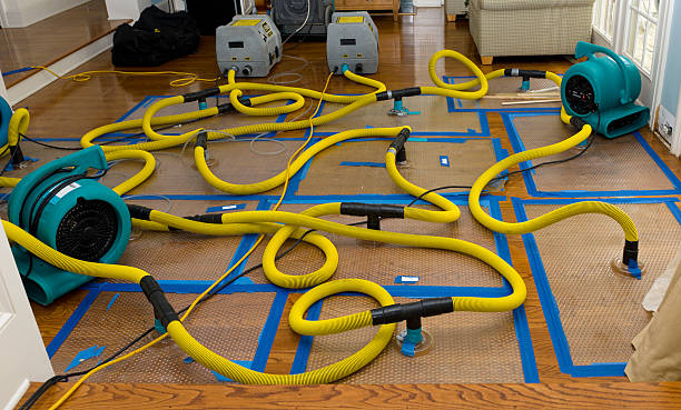 Professional Water Damage Restoration technician working in Belmont, VA
